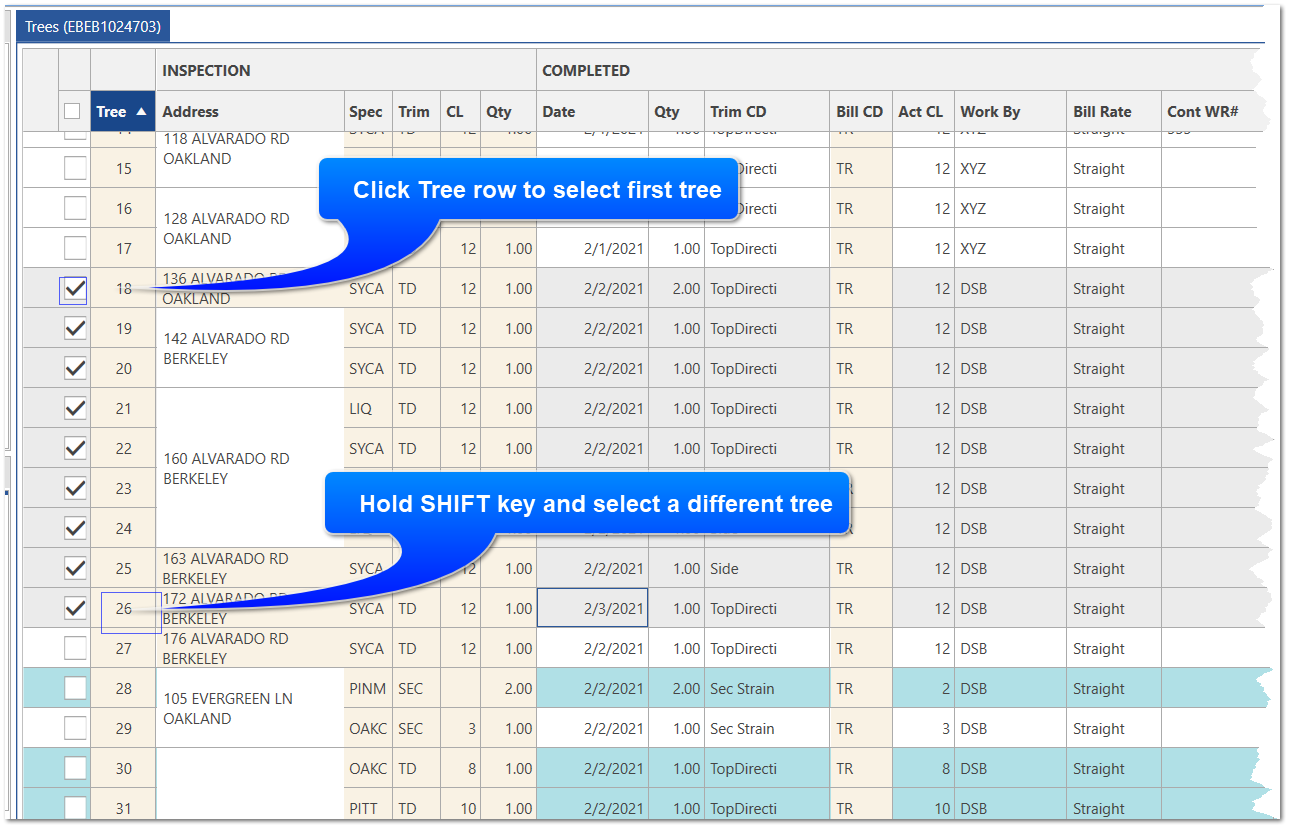 Selecting Multiple Rows